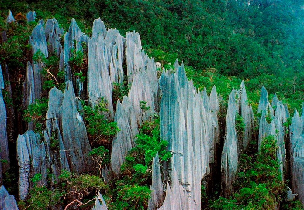 Borneo: The Best of Sarawak